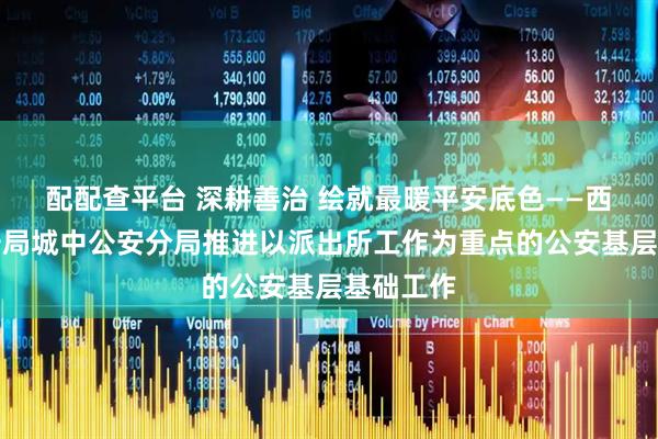配配查平台 深耕善治 绘就最暖平安底色——西宁市公安局城中公安分局推进以派出所工作为重点的公安基层基础工作