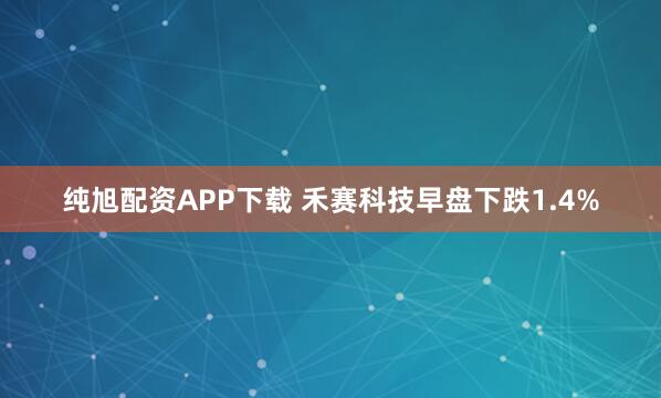 纯旭配资APP下载 禾赛科技早盘下跌1.4%