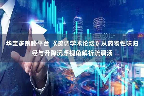 华宝多策略平台 《疏调学术论坛》从药物性味归经与升降沉浮视角解析疏调汤