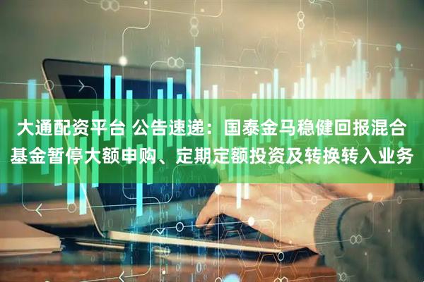 大通配资平台 公告速递：国泰金马稳健回报混合基金暂停大额申购、定期定额投资及转换转入业务