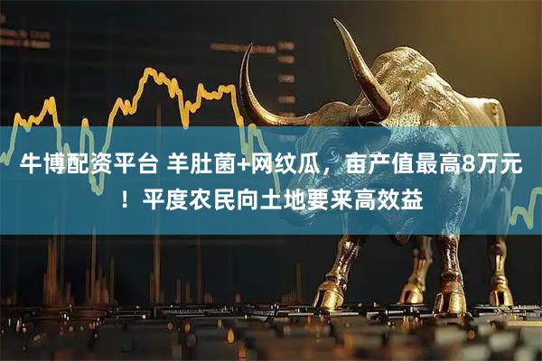牛博配资平台 羊肚菌+网纹瓜，亩产值最高8万元！平度农民向土地要来高效益