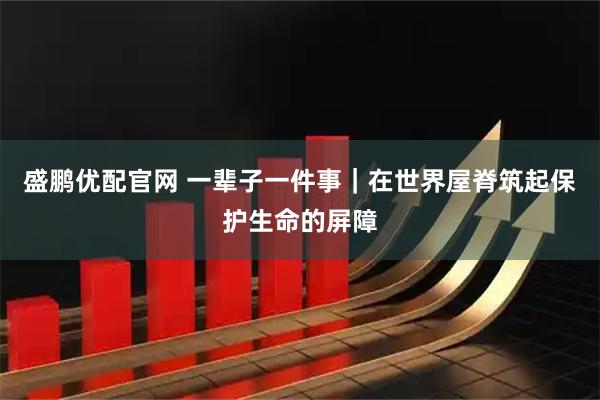 盛鹏优配官网 一辈子一件事｜在世界屋脊筑起保护生命的屏障